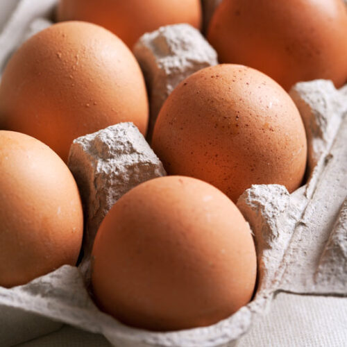 Egg Carton Fire Starter